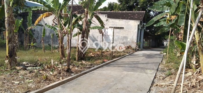 Tanah Area Berkembang di Banjarsari, Luas 370m², Dekat ke Fasilitas Umum, Dekat Banjarsari, Surakarta, Surakarta Tanah Area Berkembang di Banjarsari, Luas 370m², Dekat ke Fasilitas Umum, Dekat Banjarsari, Surakarta, Surakarta