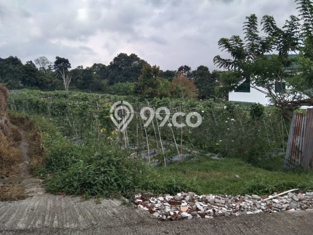 Tanah Bisnis di Kalijambe, Luas 6000m², Lokasi Strategis Tanah Bisnis di Kalijambe, Luas 6000m², Lokasi Strategis