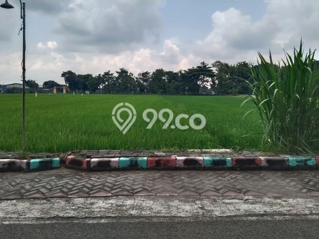 Tanah Kavling untuk Dijual di Jaten Karanganyar 3535m2 Tanah Kavling untuk Dijual di Jaten Karanganyar 3535m2