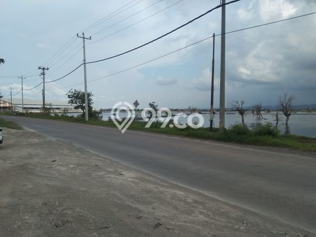 Tanah untuk Dijual di Kaliwungu Kendal Luas 20700m2 Tanah untuk Dijual di Kaliwungu Kendal Luas 20700m2