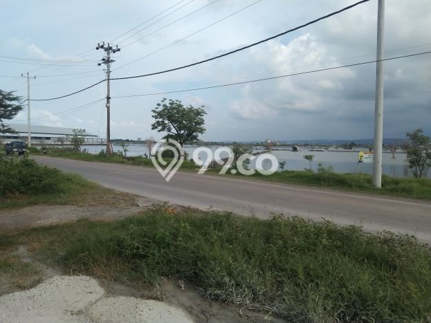 Tanah untuk Dijual di Kaliwungu Kendal Luas 20700m2 Tanah untuk Dijual di Kaliwungu Kendal Luas 20700m2