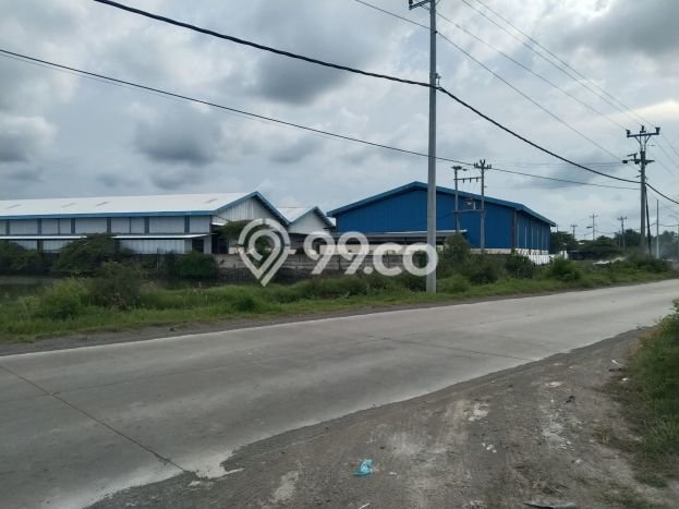 Tanah untuk Dijual di Kaliwungu Kendal Luas 20700m2 Tanah untuk Dijual di Kaliwungu Kendal Luas 20700m2