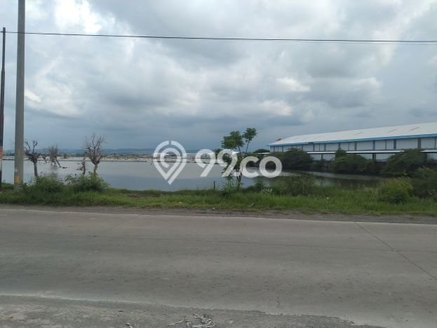 Tanah untuk Dijual di Kaliwungu Kendal Luas 20700m2 Tanah untuk Dijual di Kaliwungu Kendal Luas 20700m2