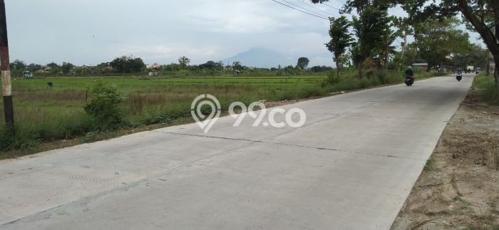 Tanah Dijual Lokasi Ngemplak, Boyolali dengan Luas Tanah 1490m2 dan Status SHM Tanah Dijual Lokasi Ngemplak, Boyolali dengan Luas Tanah 1490m2 dan Status SHM