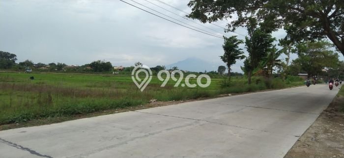 Tanah Dijual Lokasi Ngemplak, Boyolali dengan Luas Tanah 1490m2 dan Status SHM Tanah Dijual Lokasi Ngemplak, Boyolali dengan Luas Tanah 1490m2 dan Status SHM