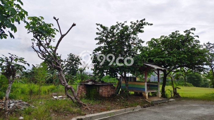 Dijual Tanah di Kalijambe Sragen Luas 8191m2 SHM Dijual Tanah di Kalijambe Sragen Luas 8191m2 SHM