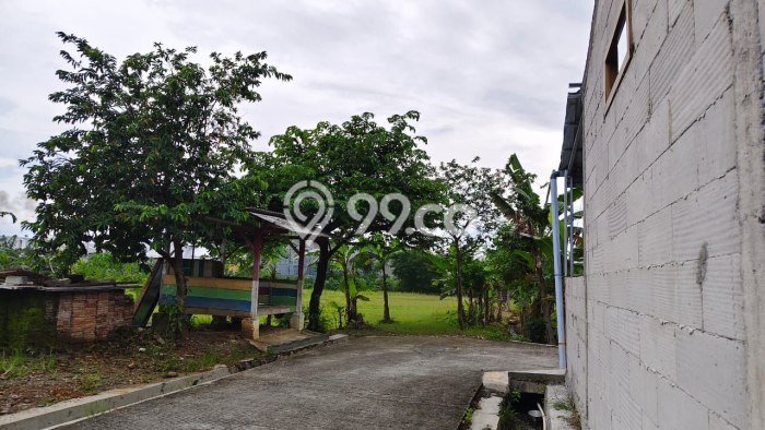 Dijual Tanah di Kalijambe Sragen Luas 8191m2 SHM Dijual Tanah di Kalijambe Sragen Luas 8191m2 SHM