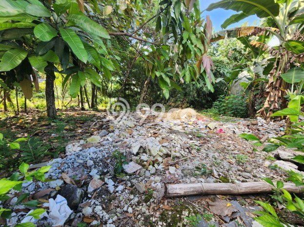 Lahan Kosong Dijual di Jebres, Surakarta, Luas 4600m2 Area Strategis Lahan Kosong Dijual di Jebres, Surakarta, Luas 4600m2 Area Strategis