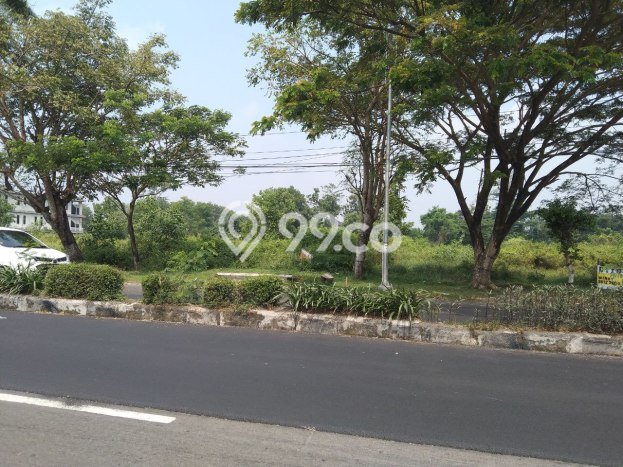 Lahan Investasi Lokasi Tasikmadu Karanganyar SHM Lahan Investasi Lokasi Tasikmadu Karanganyar SHM