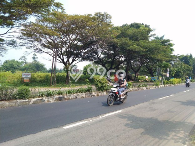 Lahan Investasi Lokasi Tasikmadu Karanganyar SHM Lahan Investasi Lokasi Tasikmadu Karanganyar SHM