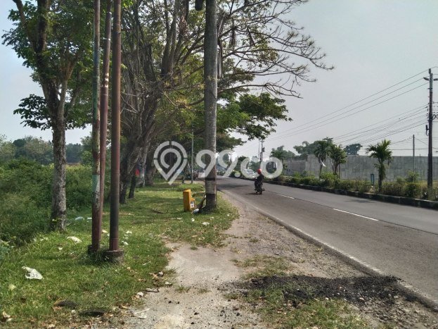 Lahan Investasi Lokasi Tasikmadu Karanganyar SHM Lahan Investasi Lokasi Tasikmadu Karanganyar SHM