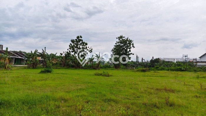 Dijual Tanah di Kalijambe Sragen Luas 8191m2 SHM Dijual Tanah di Kalijambe Sragen Luas 8191m2 SHM