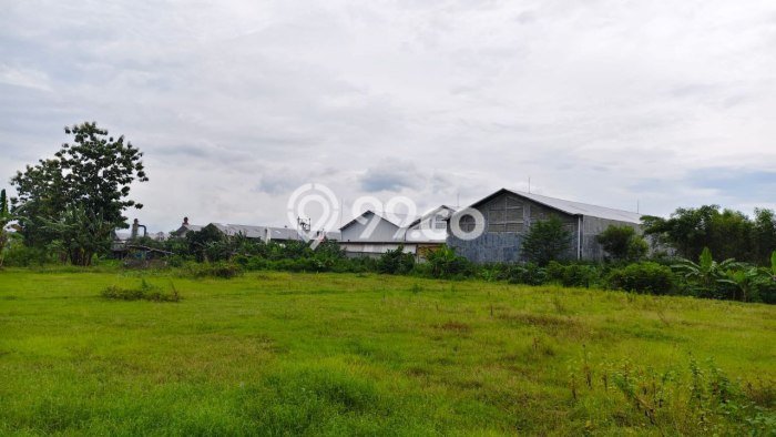 Dijual Tanah di Kalijambe Sragen Luas 8191m2 SHM Dijual Tanah di Kalijambe Sragen Luas 8191m2 SHM