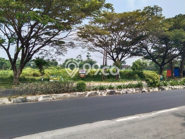 Lahan Investasi Lokasi Tasikmadu Karanganyar SHM Lahan Investasi Lokasi Tasikmadu Karanganyar SHM