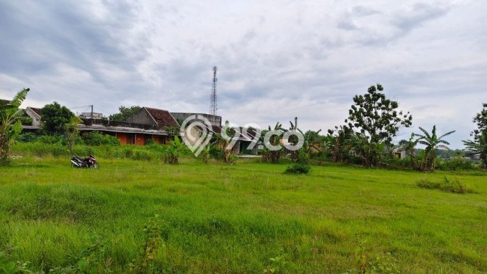 Dijual Tanah di Kalijambe Sragen Luas 8191m2 SHM Dijual Tanah di Kalijambe Sragen Luas 8191m2 SHM