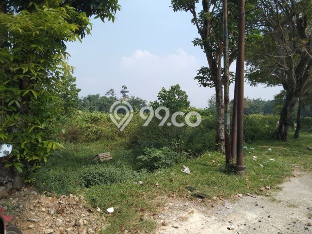 Lahan Investasi Lokasi Tasikmadu Karanganyar SHM Lahan Investasi Lokasi Tasikmadu Karanganyar SHM