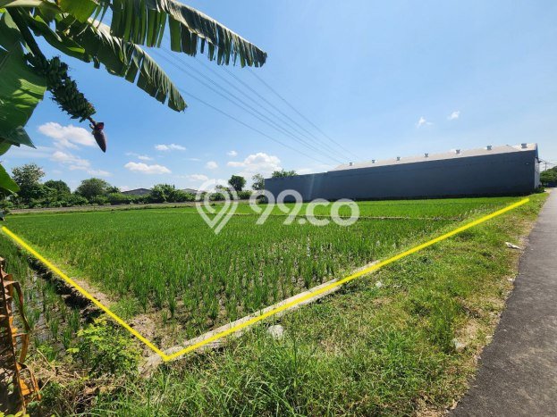 Tanah Kosong Dijual di Karanganyar dengan Area 4100m2 Tanah Kosong Dijual di Karanganyar dengan Area 4100m2
