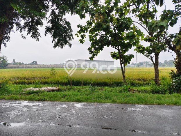 Tanah Kavling di Tasikmadu Dijual dengan Luas 8480m2 Tanah Kavling di Tasikmadu Dijual dengan Luas 8480m2