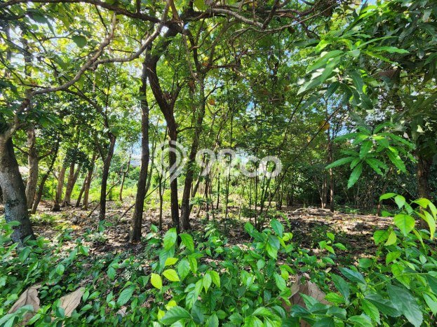 Lahan Kosong Dijual di Jebres, Surakarta, Luas 4600m2 Area Strategis Lahan Kosong Dijual di Jebres, Surakarta, Luas 4600m2 Area Strategis