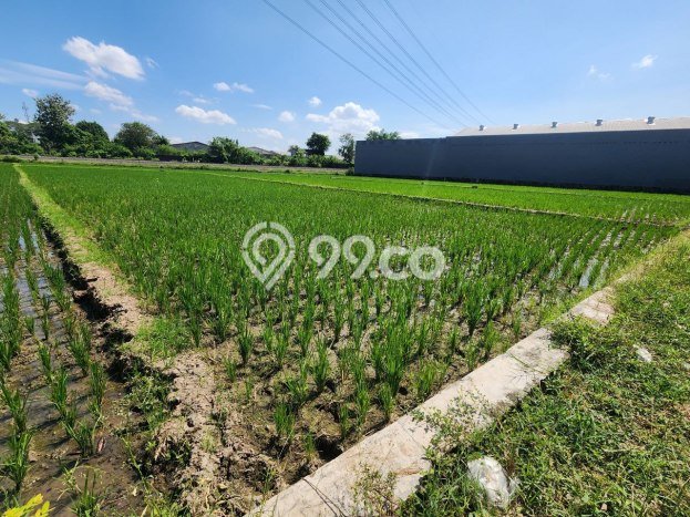 Tanah Kosong Dijual di Karanganyar dengan Area 4100m2 Tanah Kosong Dijual di Karanganyar dengan Area 4100m2