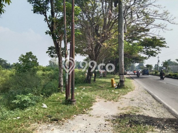 Lahan Investasi Lokasi Tasikmadu Karanganyar SHM Lahan Investasi Lokasi Tasikmadu Karanganyar SHM