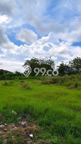 Tanah Dijual Lokasi Ceper Klaten SHM Tanah Dijual Lokasi Ceper Klaten SHM