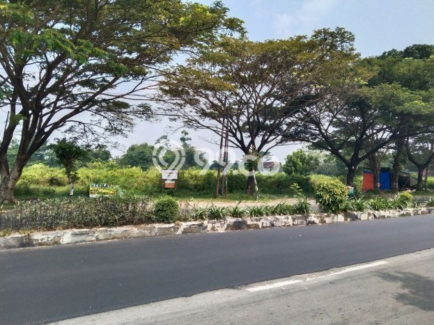 Lahan Investasi Lokasi Tasikmadu Karanganyar SHM Lahan Investasi Lokasi Tasikmadu Karanganyar SHM