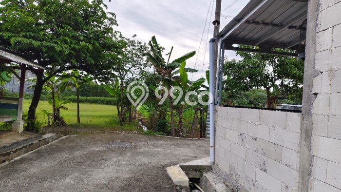 Dijual Tanah di Kalijambe Sragen Luas 8191m2 SHM Dijual Tanah di Kalijambe Sragen Luas 8191m2 SHM