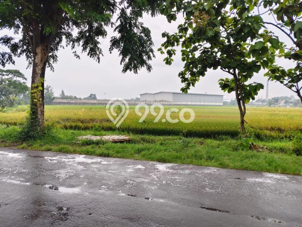 Tanah Kavling di Tasikmadu Dijual dengan Luas 8480m2 Tanah Kavling di Tasikmadu Dijual dengan Luas 8480m2