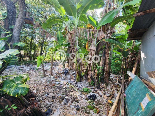 Lahan Kosong Dijual di Jebres, Surakarta, Luas 4600m2 Area Strategis Lahan Kosong Dijual di Jebres, Surakarta, Luas 4600m2 Area Strategis