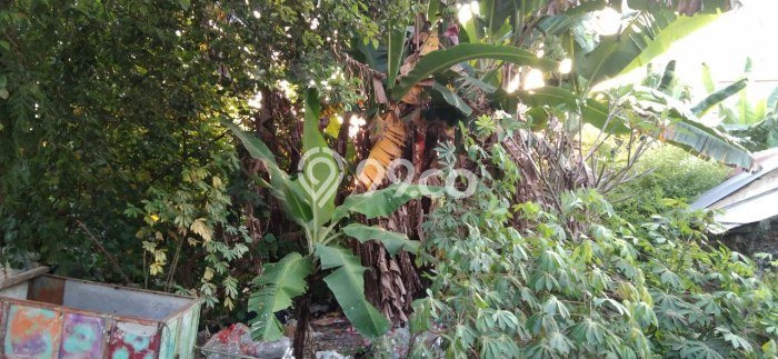 Tanah untuk Dijual di Laweyan Surakarta Luas 607m2 Tanah untuk Dijual di Laweyan Surakarta Luas 607m2
