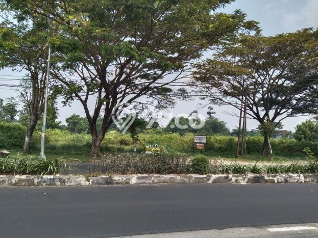 Lahan Investasi Lokasi Tasikmadu Karanganyar SHM Lahan Investasi Lokasi Tasikmadu Karanganyar SHM