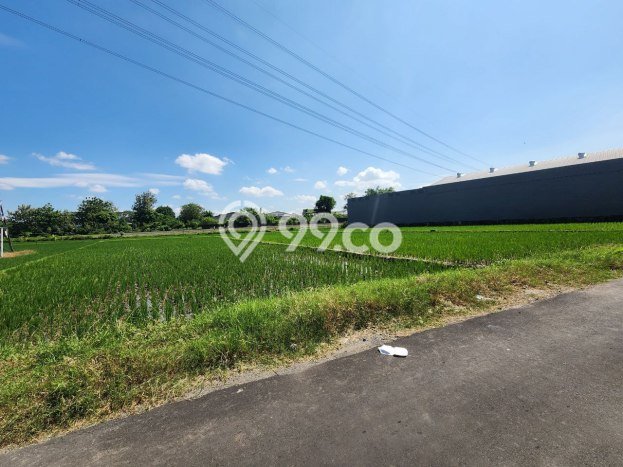 Tanah Kosong Dijual di Karanganyar dengan Area 4100m2 Tanah Kosong Dijual di Karanganyar dengan Area 4100m2