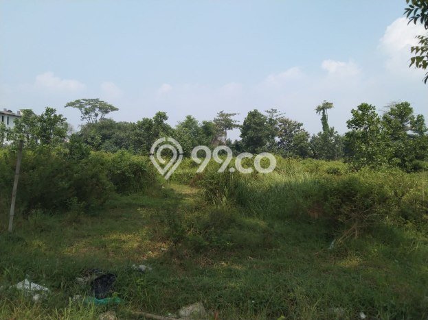 Lahan Investasi Lokasi Tasikmadu Karanganyar SHM Lahan Investasi Lokasi Tasikmadu Karanganyar SHM