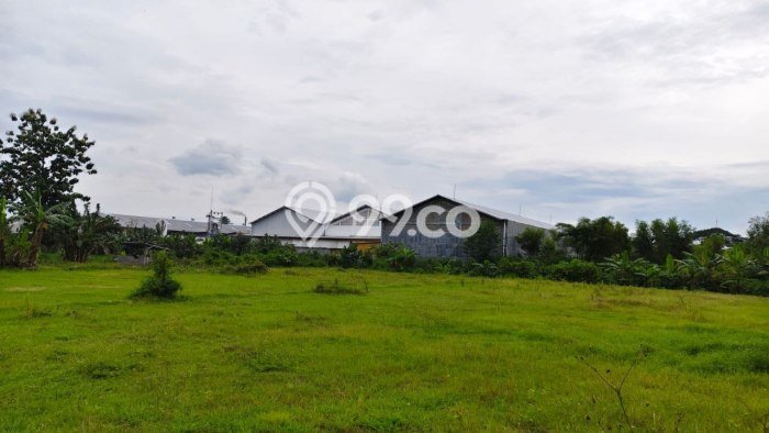 Dijual Tanah di Kalijambe Sragen Luas 8191m2 SHM Dijual Tanah di Kalijambe Sragen Luas 8191m2 SHM