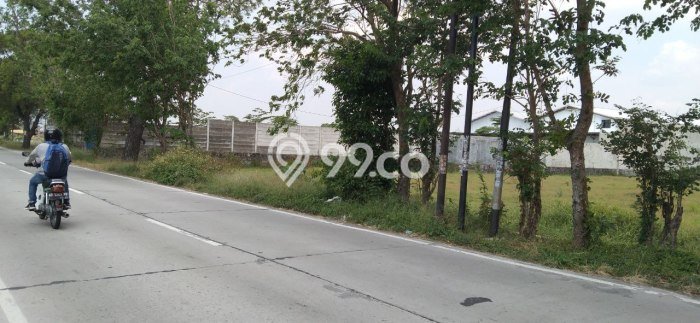 Jarang Ada! Tanah di Colomadu Punya Luas 3165m2 SHM Jarang Ada! Tanah di Colomadu Punya Luas 3165m2 SHM