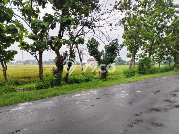 Tanah Kavling di Tasikmadu Dijual dengan Luas 8480m2 Tanah Kavling di Tasikmadu Dijual dengan Luas 8480m2