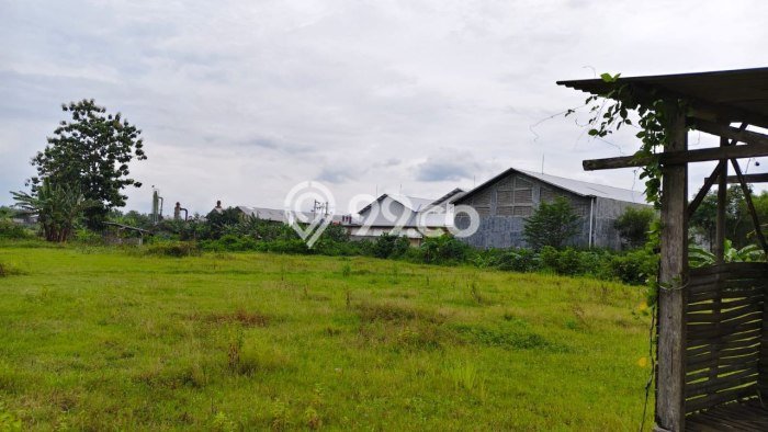 Dijual Tanah di Kalijambe Sragen Luas 8191m2 SHM Dijual Tanah di Kalijambe Sragen Luas 8191m2 SHM