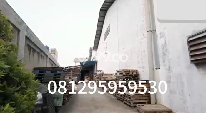 Lokasi Strategis! Dijual Gudang Bisnis di Kosambi, Tangerang Kondisi Bagus Lokasi Strategis! Dijual Gudang Bisnis di Kosambi, Tangerang Kondisi Bagus