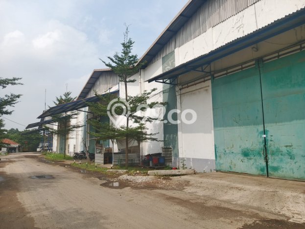 Area Strategis! Disewakan Gudang Lokasi Cikupa, Tangerang Cocok untuk Bisnis Area Strategis! Disewakan Gudang Lokasi Cikupa, Tangerang Cocok untuk Bisnis