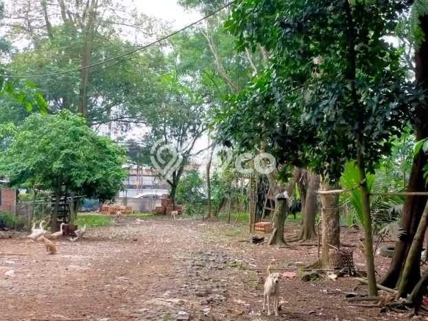 Kavling Tanah Dijual di Balaraja Tangerang Spesifikasi 170000m2 Kavling Tanah Dijual di Balaraja Tangerang Spesifikasi 170000m2