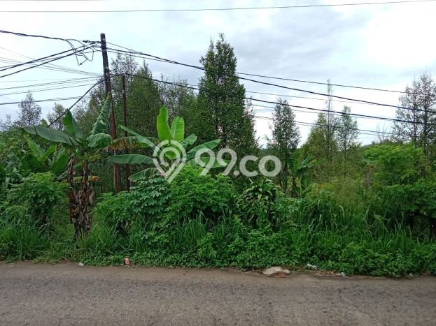 Tanah di Parung Panjang, Bogor Luas 3044m2 Dijual Segera Tanah di Parung Panjang, Bogor Luas 3044m2 Dijual Segera