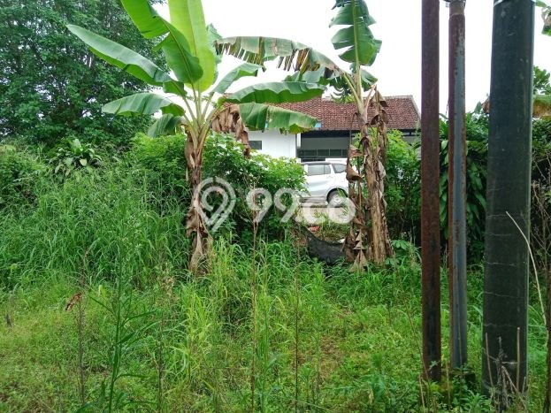 Tanah di Parung Panjang, Bogor Luas 3044m2 Dijual Segera Tanah di Parung Panjang, Bogor Luas 3044m2 Dijual Segera