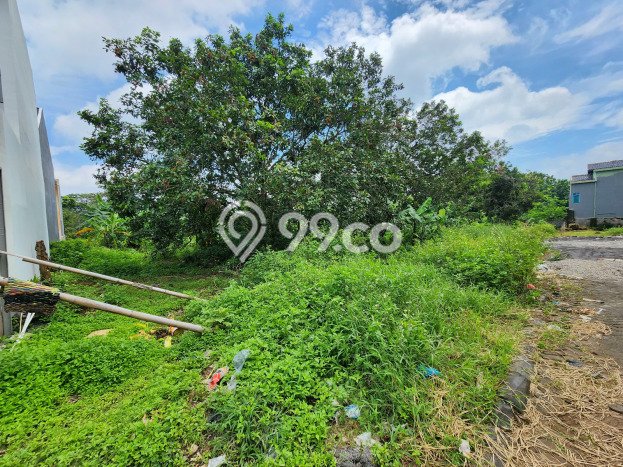 Tanah untuk Dijual di Tembalang Semarang Luas 3200m2 Tanah untuk Dijual di Tembalang Semarang Luas 3200m2