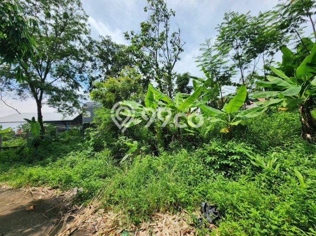 Tanah untuk Dijual di Tembalang Semarang Luas 3200m2 Tanah untuk Dijual di Tembalang Semarang Luas 3200m2