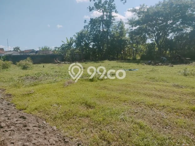 Dijual Tanah di Kedungwaru Tulungagung Luas 930m2 SHM Dijual Tanah di Kedungwaru Tulungagung Luas 930m2 SHM