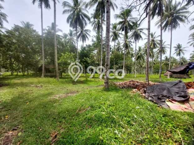 Tanah di Ratatotok, Luas 90000m2m², Area Premium, Prospek Menjanjikan Tanah di Ratatotok, Luas 90000m2m², Area Premium, Prospek Menjanjikan