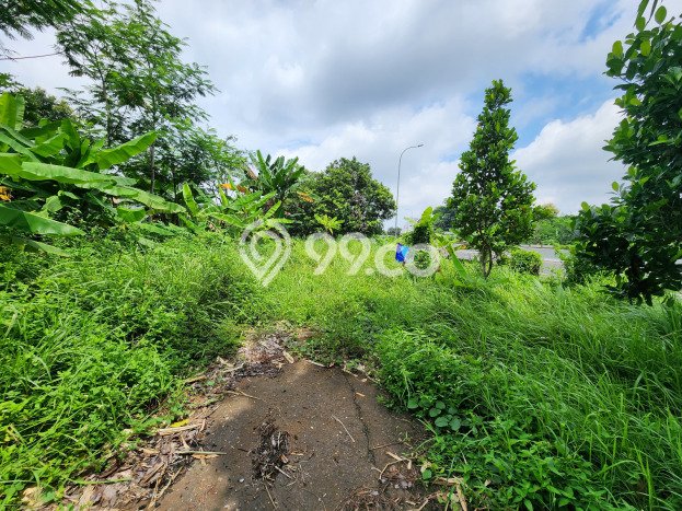 Tanah untuk Dijual di Tembalang Semarang Luas 3200m2 Tanah untuk Dijual di Tembalang Semarang Luas 3200m2