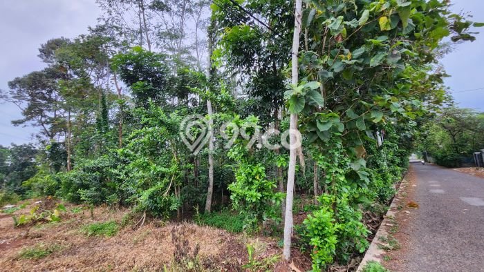 Tanah untuk Dijual di Tembalang Semarang Luas 3200m2 Tanah untuk Dijual di Tembalang Semarang Luas 3200m2
