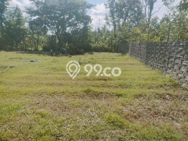 Dijual Tanah di Kedungwaru Tulungagung Luas 930m2 SHM Dijual Tanah di Kedungwaru Tulungagung Luas 930m2 SHM